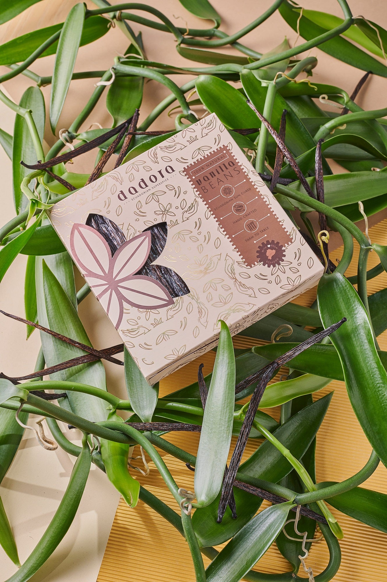 Grade A Tahitian Vanilla -Ecuadorian Grown Tahitensis Vanilla Beans **Farm to table limited harvest**