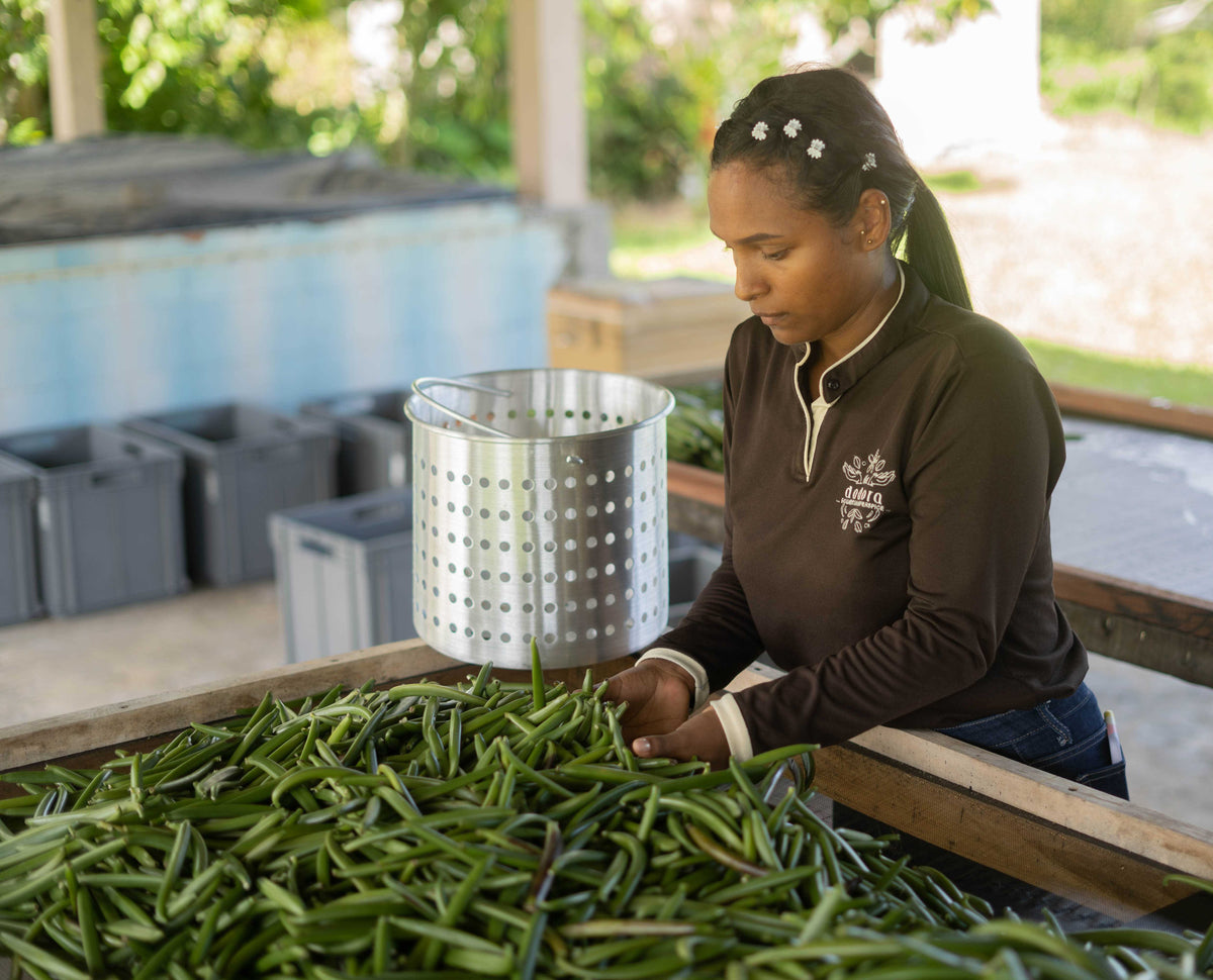 Why Our Vanilla Is Truly Farm-to-Table – Dadora Vanilla