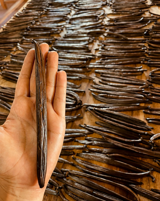 Grade A vs Grade B Vanilla Beans: Which Should You Use?