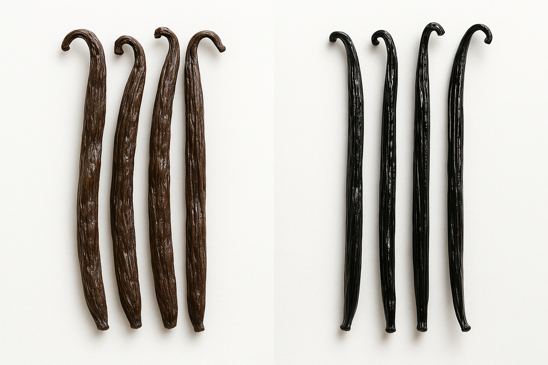 Ecuadorian vs. Madagascar Vanilla Beans — What’s the Difference?