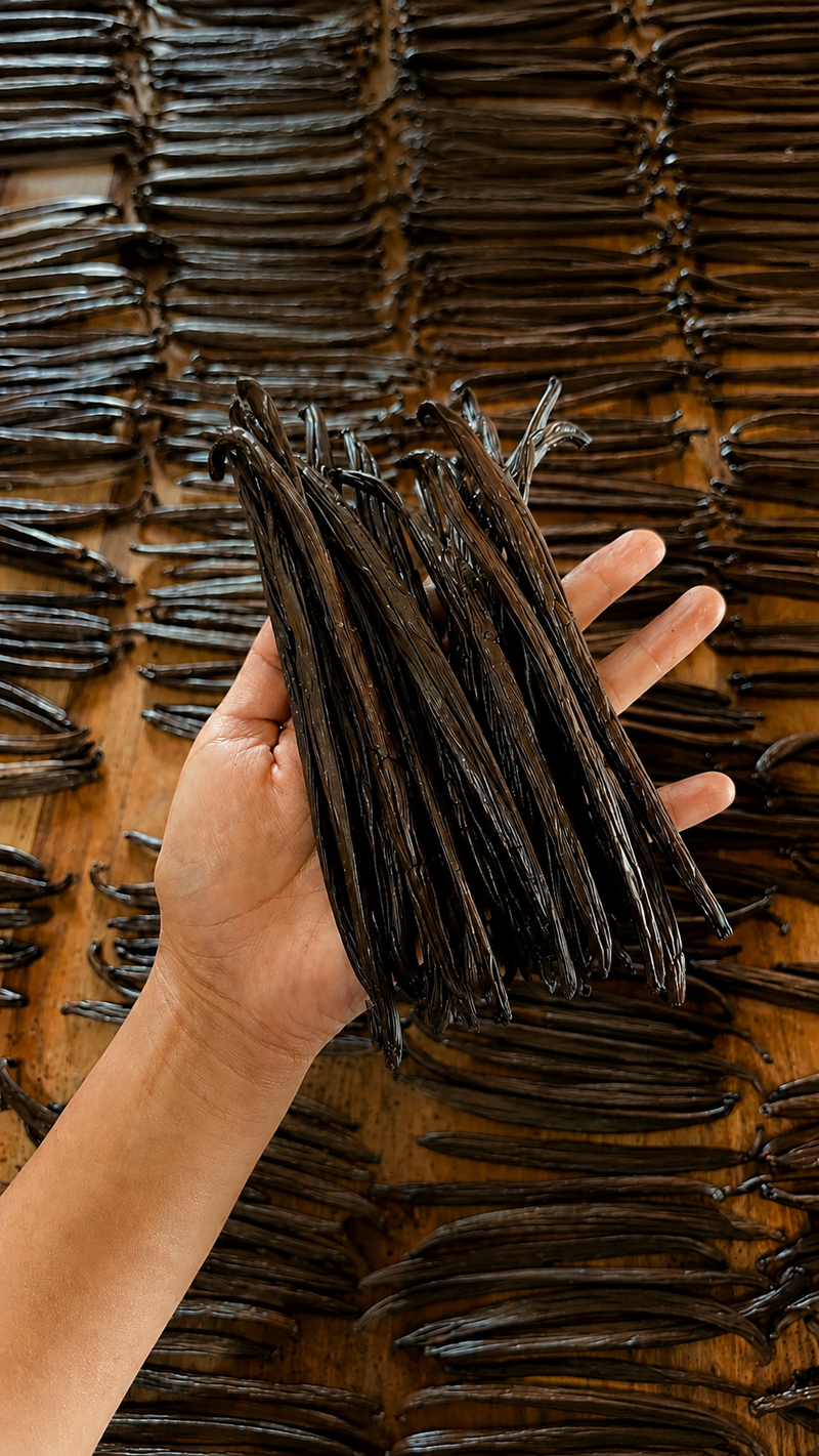 Grade A Tahitian Vanilla Beans | Farm-Direct from Ecuador