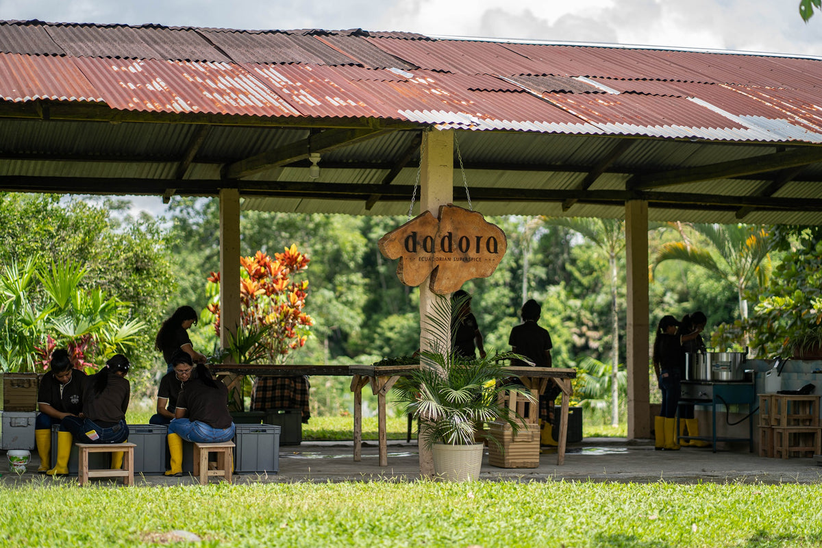 The Dadora farm in Esmeraldas, Ecuador