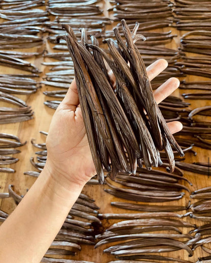 Grade A Tahitian Vanilla Beans | Farm-Direct from Ecuador